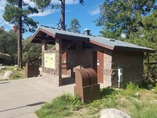 Coronado National Forest Rose Canyon Campground