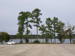 Angelina National Forest Caney Creek Recreation Area