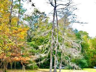 B.A. Steinhagen Lake Campground