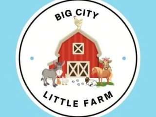 Big City Little Farm