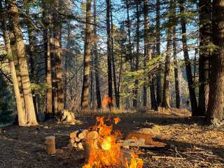 Amigos Loop Dispersed Site