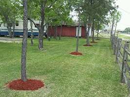 Little Thicket RV Park