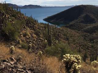 Bagley Flat Campground and Boat Dock