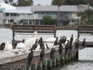 The Palms RV Park