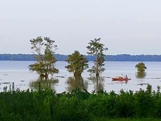 Campers Cove - Town Bluff Reservoir