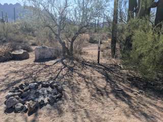 BLM Silverbell Group Campsite