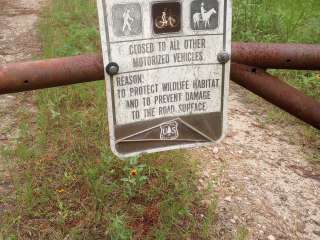 Lone Star Hiking Trail Dispersed