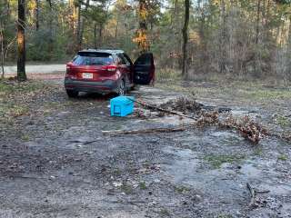 Kelly's Pond Campground