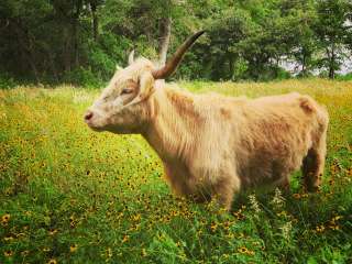 Sandy Grove Ranch