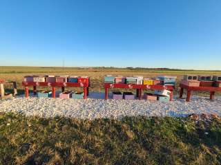 Tiny Tots Honey Bee Farm