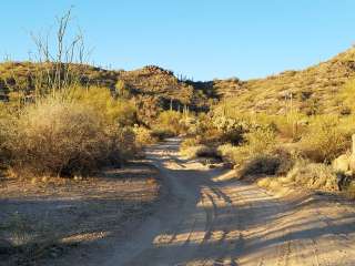 Bulldog Canyon Dispersed Camping - West Entrance