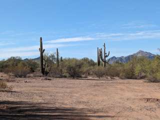 Pipeline Road BLM Camping