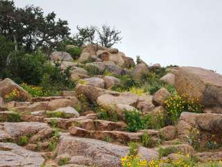 Walnut Springs Area — Enchanted Rock State Natural Area