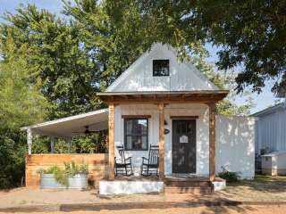 Mustard Seed on the Llano