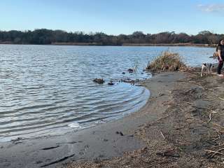 Oak Thicket Park