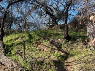 Verde River Dispersed Camping