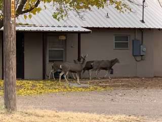 Davis Mountain RV Park