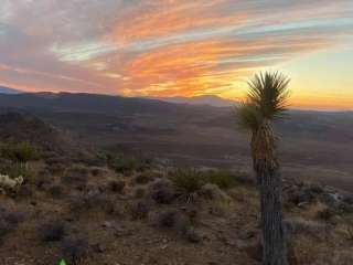 Apache Park and Trail Camping