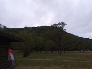 Live Oak — Garner State Park