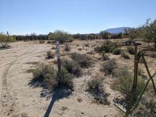 BLM Sonoran Desert National Monument - Road #8011 Overlander Dispersed camping 