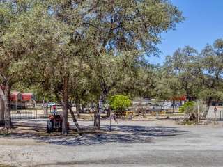 BECS STORE & RV PARK