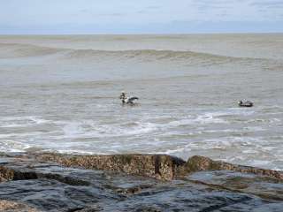 Matagorda Bay Nature Park