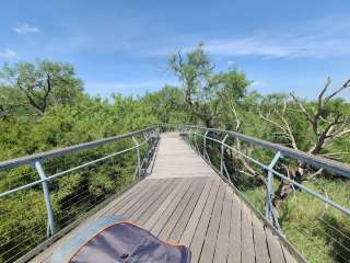 Bentsen - Rio Grande Valley State Park