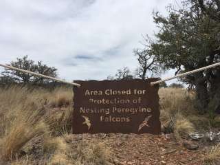 Toll Mountain (TM1) Campground — Big Bend National Park