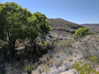 Mckinney Springs — Big Bend National Park