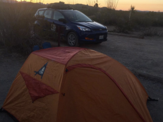 Ocotillo Grove Primitive Campsite — Big Bend National Park