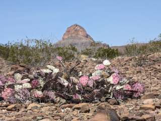 Buenos Aires — Big Bend National Park