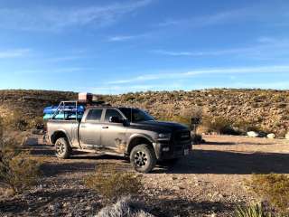 Candelilla — Big Bend National Park