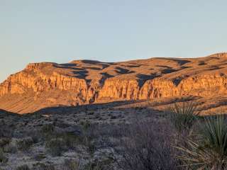 Willow Tank — Big Bend National Park