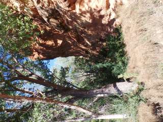 BLM Sand Island Campground