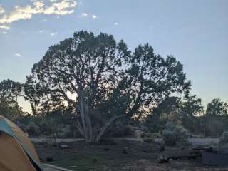 Natural Bridges Campground