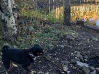 Mudsprings Trail Backcountry  Camping 