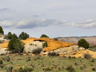 Rock Springs Bench