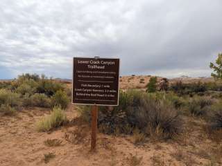 Crack Canyon dispersed n Goblin Valley