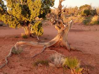 Hole in the Rock Road at Grand Staircase-Escalante