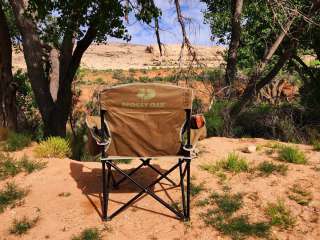 Butler Wash Dispersed - Bears Ears