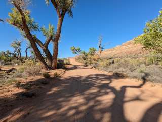 Comb Wash Dispersed Camping Area