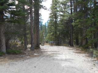 Pine Lake Campground