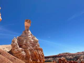 Forest Rd 294 Dispersed - Dixie National Forest