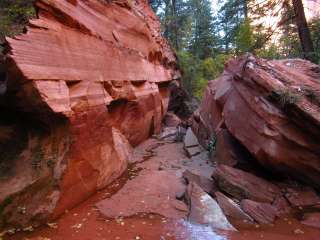 Zion RV and Campground (Hi-Road)