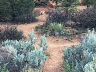 Red Canyon Campground