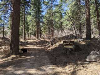 Oak Grove Campground Dixie NF