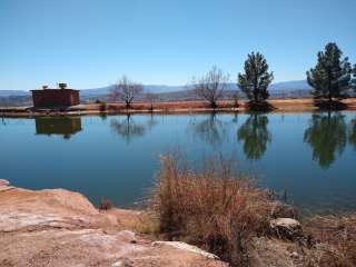 Trout Fishing In Dixie