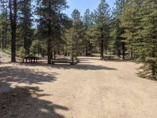 Dixie National Forest King Creek Group Site