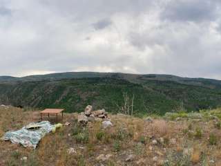 Shingle creek dispersed