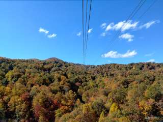 Mountain Laurel Chalets